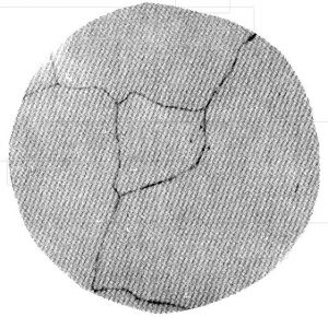 Precipitated Carbide Rating X2