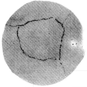 Precipitated Carbide Rating X3