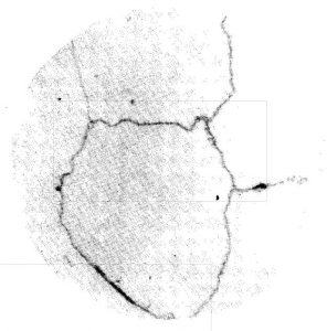 Precipitated Carbide Rating X4