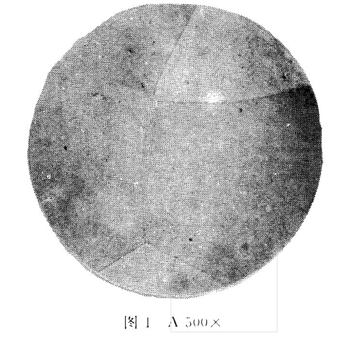 The microstructure of high-manganese steel after water toughening treatment