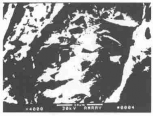 Morphology of brittle fracture at the bottom of the pit