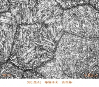 QTD HBW450 Microstructure X500 In Design Ductile Iron Jaw Plates QTD HBW450 Microstructure X500 In Design Ductile Iron Jaw Plates