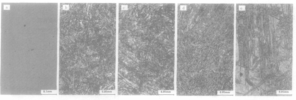 Fig.3 Les microstructures du marteau broyeur