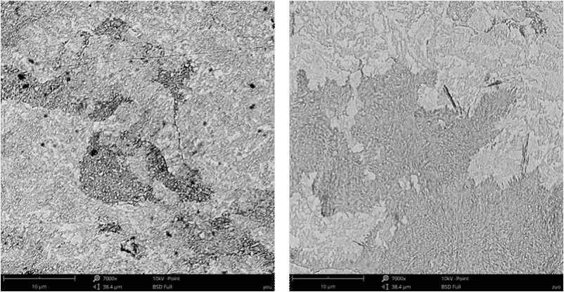 Fig.3-2 Microstructure des aciers faiblement alliés à haute teneur en carbone après normalisation et revenu (a) 1 # ； (b) 2 #