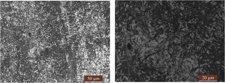 Fig.3-1 Microestrutura de aços de alta liga de alto carbono em diferentes processos de tratamento térmico (g) (h) 4 #