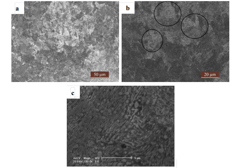 Fig.4-6 Microestructura de placas de revestimiento de aleación de perlita